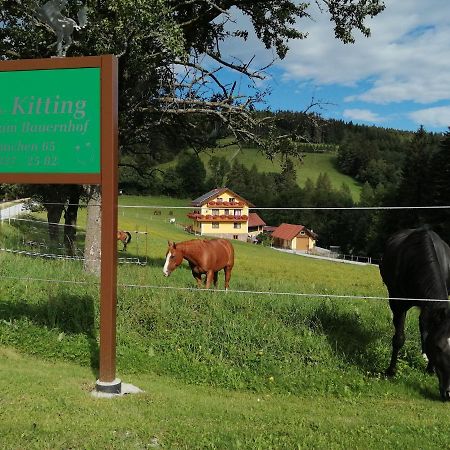 Вилла Urlaub Am Bauernhof Familie Kitting Vorau Экстерьер фото