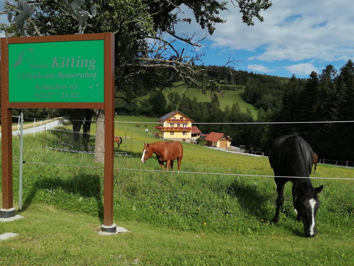 Вилла Urlaub Am Bauernhof Familie Kitting Vorau Экстерьер фото