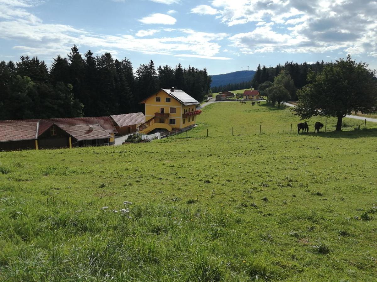 Вилла Urlaub Am Bauernhof Familie Kitting Vorau Экстерьер фото
