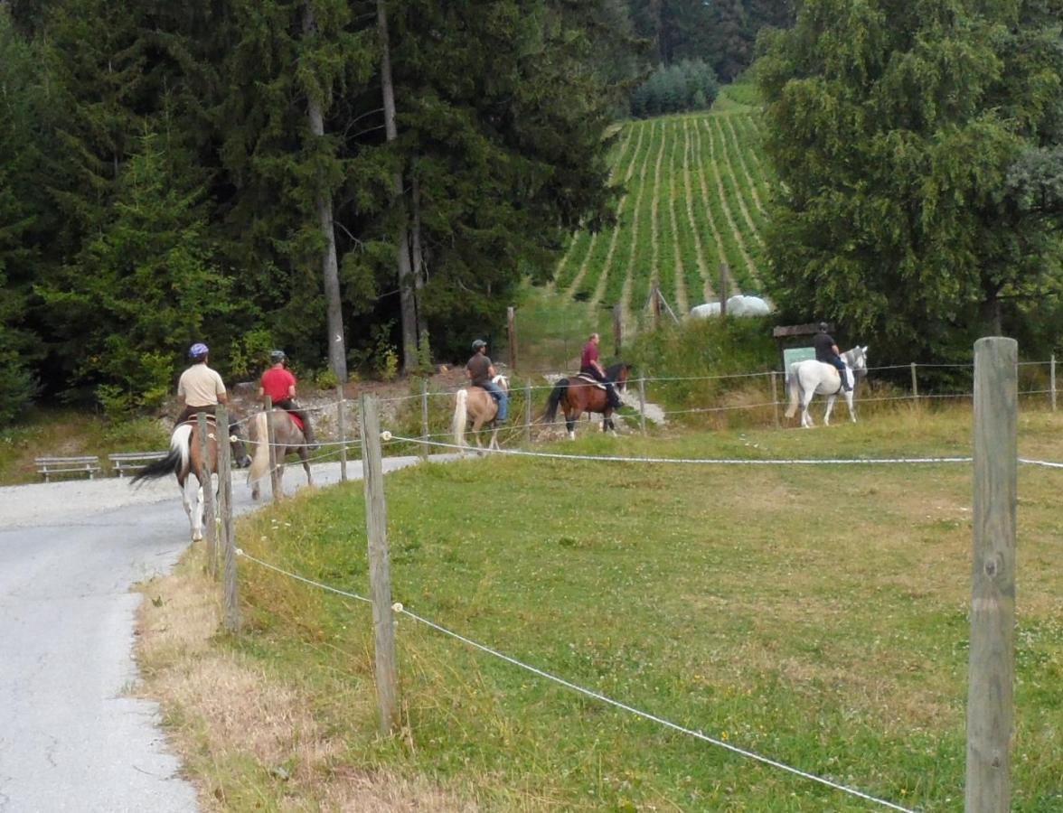 Вилла Urlaub Am Bauernhof Familie Kitting Vorau Экстерьер фото
